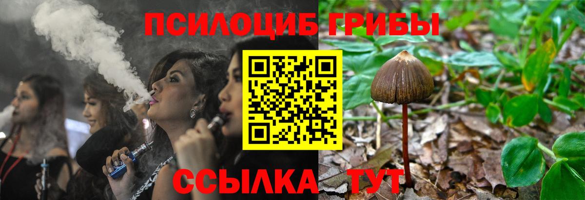 Псилоцибиновые грибы Magic Shrooms  Вход с VPN  Борисоглебск 